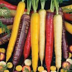 Rainbow Blend Carrot Seeds 500+ Vegetable Garden Mixture NON-GMO FREE SHIPPING