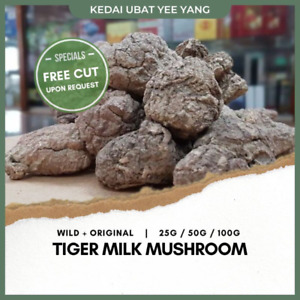 Tiger Milk Mushroom Wild Original Lignosus Rhinocerus  Slices Cut 25G / 2 Bottle