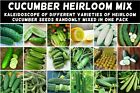 CUCUMBER 'Heirloom Mix' 25 Seeds ALL TYPES MIXED spring summer vegetable garden