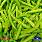 Bean Seeds - Bush - Blue Lake Bush 274 | Heirloom | Non-GMO Annual Vegetable