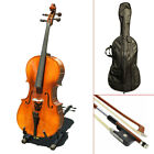 Paititi CE4009SE AVANT-GARDE Ebony Fitted Gloss Finish Solid Wood Cello 3/4 Size