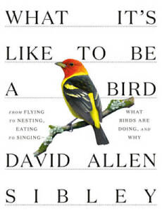 What It's Like to Be a Bird: What Birds Are Doing, and Why--from Fly - VERY GOOD