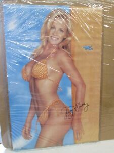 Jenny McCarthy surfin safari Car Garage poster man cave hot girl 1996 15928