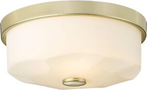 Flush Mount Ceiling Light with Frosted Glass Shade, 2-Light Indoor Outdoor Farmh