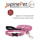 Lupine Lifetime Guaranty Dog Leash or Collar 1