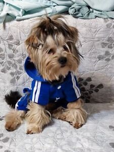 Blue Pet Dog Clothes Cat Puppy Coat Sports Hoodies Warm Sweater Jacket Clothing