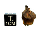 New ListingNWA XXX ~ Unclassified Iron Meteorite ~ 3.477 grams ~ Nice Shape & Color!