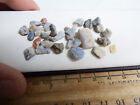 30.1ct lightning ridge fossil and crystal opals rough gemstone lot