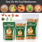 Bulk Dried Mealworms for Chickens Treats Duck Feed Wild Birds Organic Non-GMO US