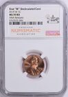 2019 W LINCOLN CENT 1C UNCIRCULATED NGC MS 70 RD ANA Releases