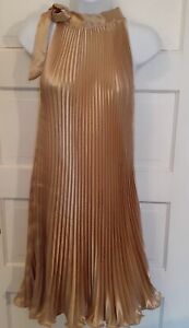Shimmering Gold Pleated Dress Free Size