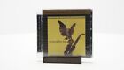 New ListingColeman Hawkins Hawk Flies High Sealed MoFi MFSL Ultradisc UHR 24K Gold SACD CD