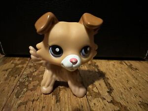 LPS Collie Cream and Brown #2452