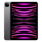 Apple iPad Pro 12.9'' 1TB Space Gray Wi-Fi 6th Generation MNXW3LL/A