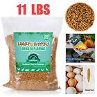 11 LB Dried Black Soldier Fly Larvae BSFL Birds Natural Food Chickens Hen Treats