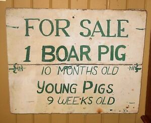 Neat wood country Farm sign For Sale 1 Boar Pig-----15939