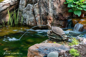 Aquascape Turtle on Log Spitter 78371