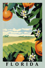 Florida Vintage Travel Poster Fruit Orange Juice Reproduction FREE S/H in USA