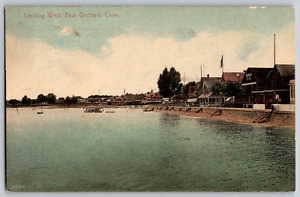 Connecticut CT - Looking West, Pine Orchard - Vintage Postcard - Posted 1914