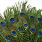 10pcs Real Natural Peacock Tail Eyes Feathers 9-12 Inches / about 23-30cm US