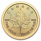 2024 Canada 1/20 oz Gold Maple Leaf BU (Royalty Precious Metals) Fast Shipping!
