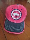 Polo Sport Ralph Lauren Vtg Mountain Cookie Patch SWAG strapback hat