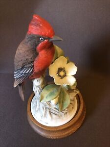 Vintage Cardinal By Andrea #8627 Bird Figurine Andrea By Sadek Japan.