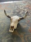 COW Steer SKULL WITH HORNS