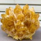 1.58lb  New Find Yellow  Phantom Quartz Crystal Cluster Mineral Specimen Healing