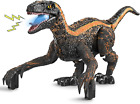 DFGEE Remote Control Dinosaur Toys for Kids 3-5, Boys Toys for 3 4 5 6 Year Old