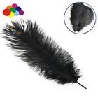 30 color Ostrich feathers 15-20 cm decoration starry wedding mask handmade DIY