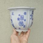 Round Porcelain Bonsai Pot W/ Drip Tray Shohin Dwarf Planter 7