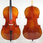 Copy Stradivari Cello 4/4 Old spruce M8013 German Antique!