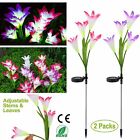2Pcs Solar Garden Lights 7-Color Lily Flower LED Light Outdoor Patio Waterproof