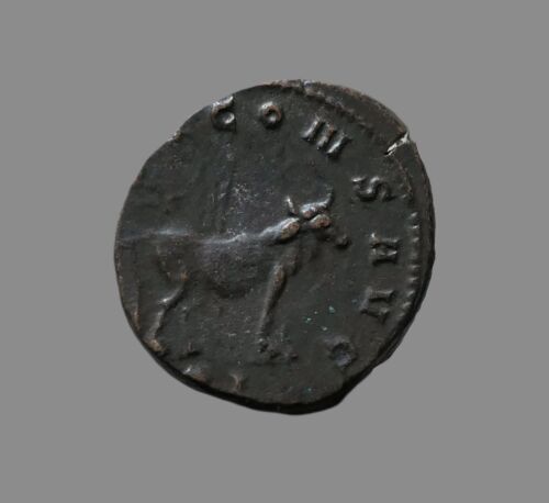 Gallienus Bi Antoninianus, Zoo Series Roman Coin - Bull.