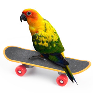1pc Quality Plastic Scooter Parrot Sliding Skake Board Bird Toy Pet Supplies