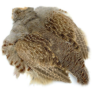 HUNGARIAN PARTRIDGE SKIN - Hareline Grade #1 Fly Tying Soft Hackle Feathers NEW!