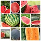 Watermelon Seeds Collection, NON-GMO, 9 Varieties, Heirloom, FREE SHIPPING