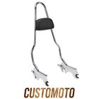 Softail Backrest Sissy Bar Upright Pad for 2018-up Heritage Classic Deluxe FXBB