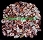 250 CT WHOLESALE LOT NATURAL RED MEXICO CRAZY LACE AGATE CABOCHON LOOSE GEMSTONE