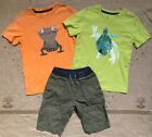 Tea Collection Lizard Turtle Short Sleeve Shirts Shorts Bundle, Size 8