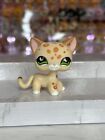 Littlest Pet Shop LPS Authentic Rare #852 Cream Shorthair Cat Leopard 