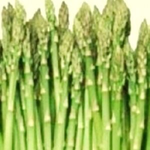 Mary Washington Asparagus Seeds | NON-GMO | Heirloom | Fresh Garden Seeds