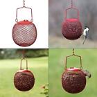 Red Seed Ball Hanging Bird Feeder - 1.2 Lb. Capacity | Wild Seeds Metal No/no