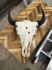 bison skull with horns
