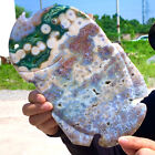 1.46LB Amazing Natural Ocean Jasper Crystal Carved Fish Jasper Halo Stone