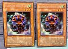 Yu-Gi-Oh! - x2 - Ultimate Insect LV3 - RDS-EN007 - Rare - 1st Edition - YuGiOh