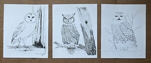 Set of 3 Owl Pen and Ink Drawing Prints on Linen Paper by Dan Berry
