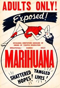 8x10 Print Marihuana Adults Only! Exposed Shattered Hopes Tangled Lies 1936 #MRS