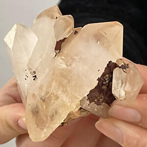 117G Natural Clear Quartz Chakra Reiki Crystal Cluster Gemstone Specimen